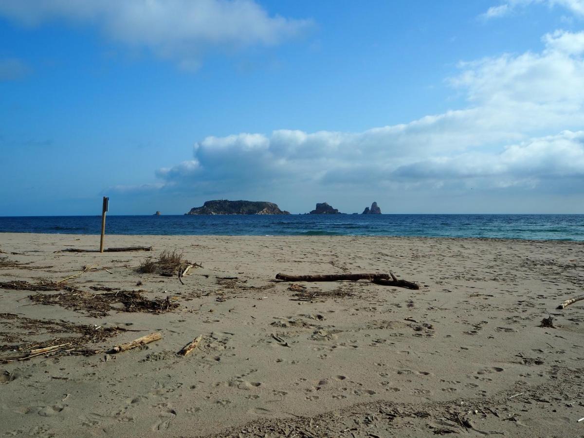 Centrico Y Renovado, 100m De La Playa Apartment *